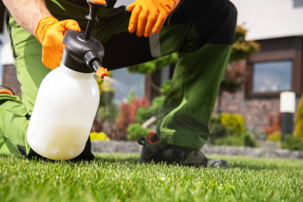 Best Pest Removal Services  in Bellevue, NE