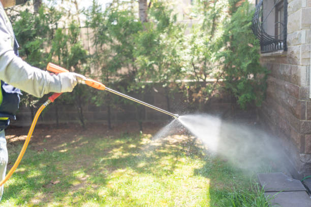 Best Affordable Pest Control Services  in Bellevue, NE
