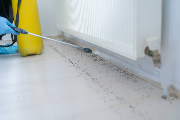 Best Best Pest Control Companies  in Bellevue, NE