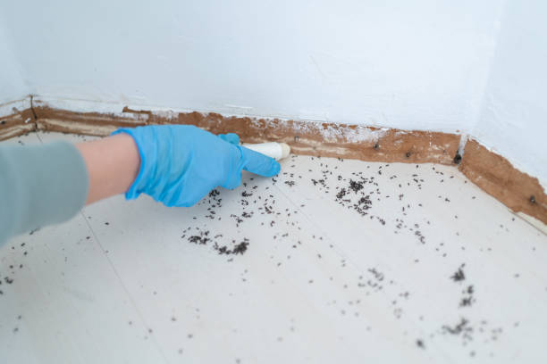 Best Best Pest Control Companies  in Bellevue, NE
